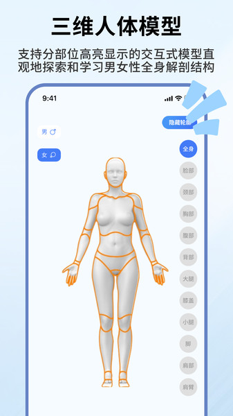 人体解剖学图谱1