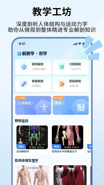 人体解剖学图谱3