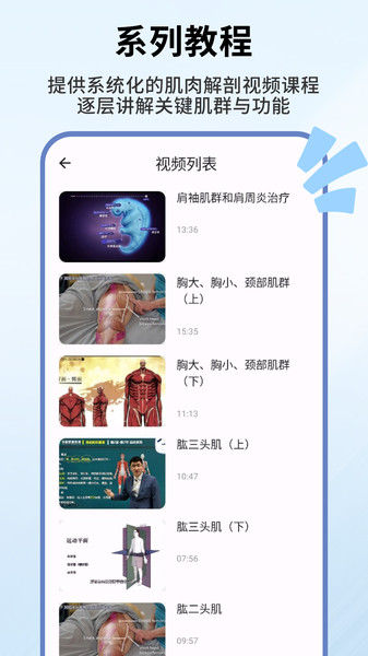 人体解剖学图谱4