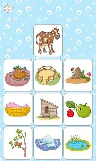 儿童脑力训练营1