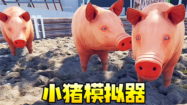小猪模拟器11