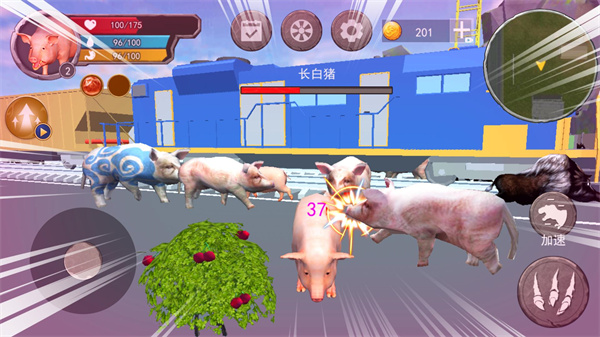 小猪模拟器13