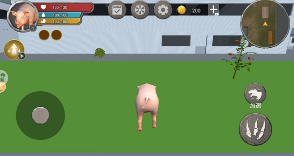小猪模拟器1