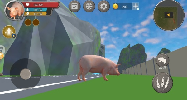 小猪模拟器1