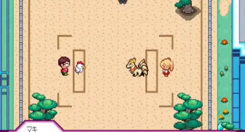 我的迷之规则神奇宝贝