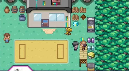 我的迷之规则神奇宝贝