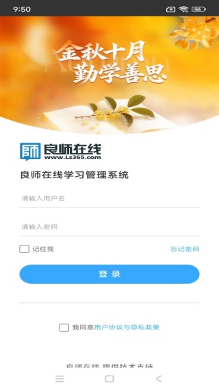 良师云课堂PLUS
