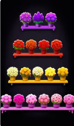 花卉分类花朵配对3