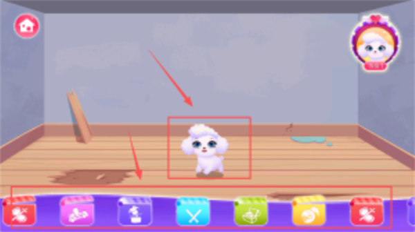 天才宠物银幕秀