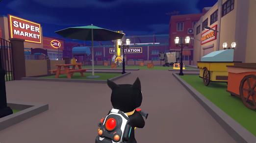 太空猫混沌回归2