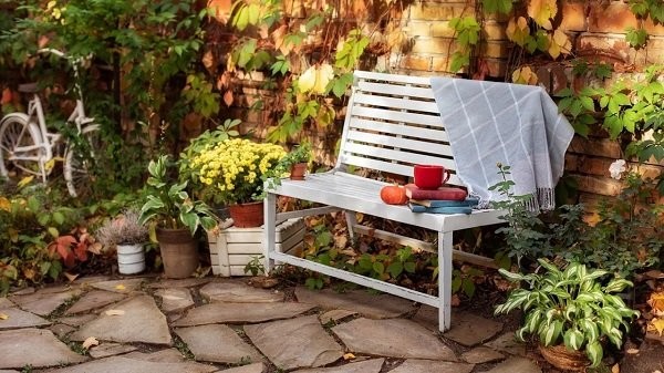 家居设计与花园改造2