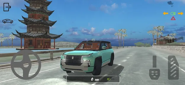 中国汽车驾驶3D3