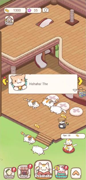 猫之人生可爱模拟