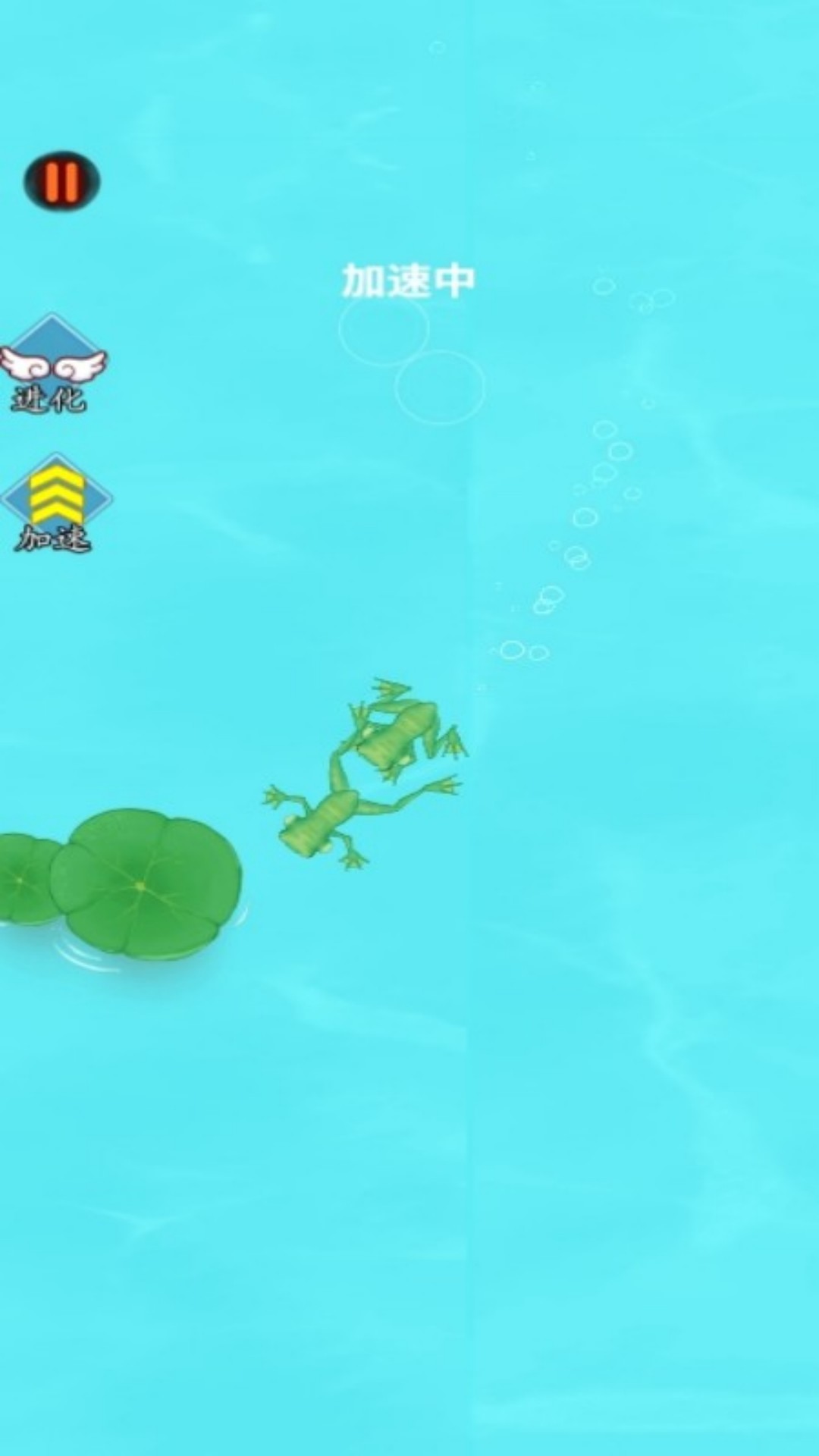 这才是神龙进化1