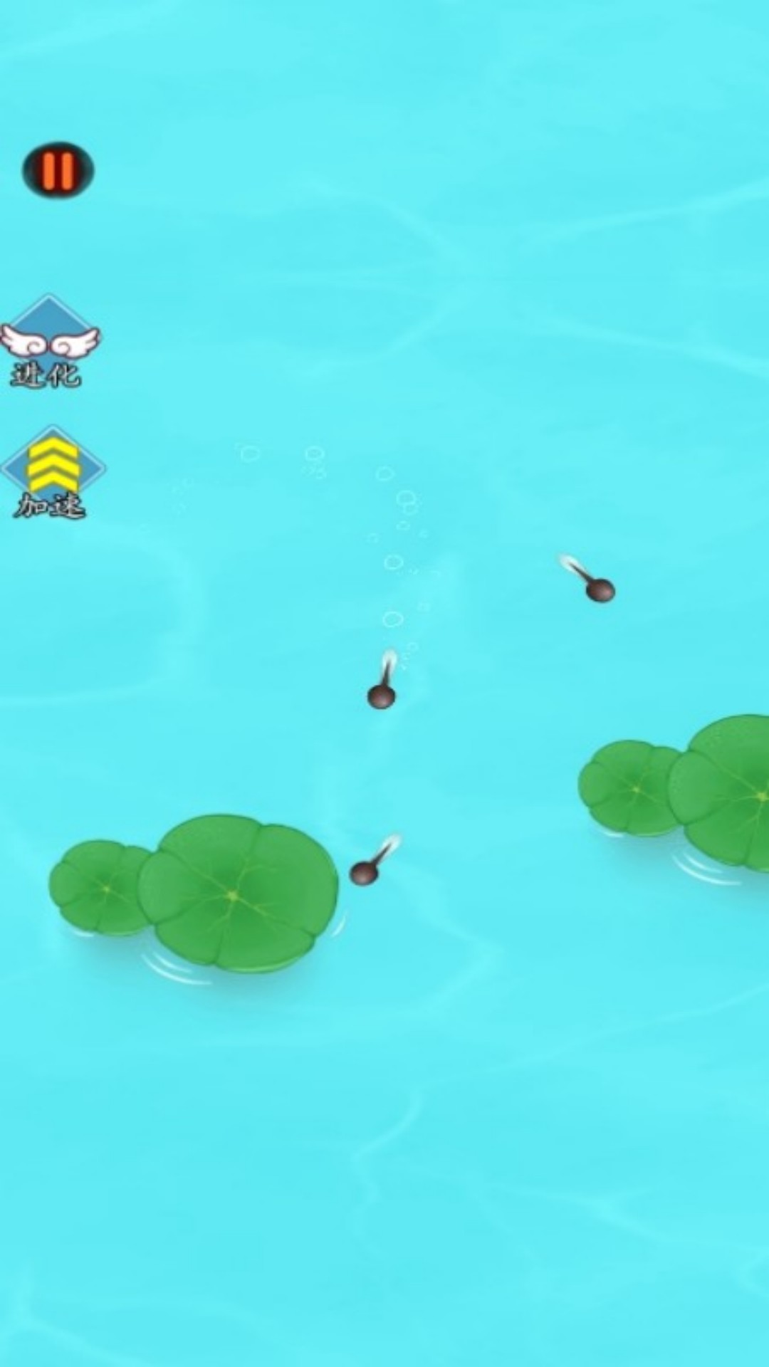 这才是神龙进化2