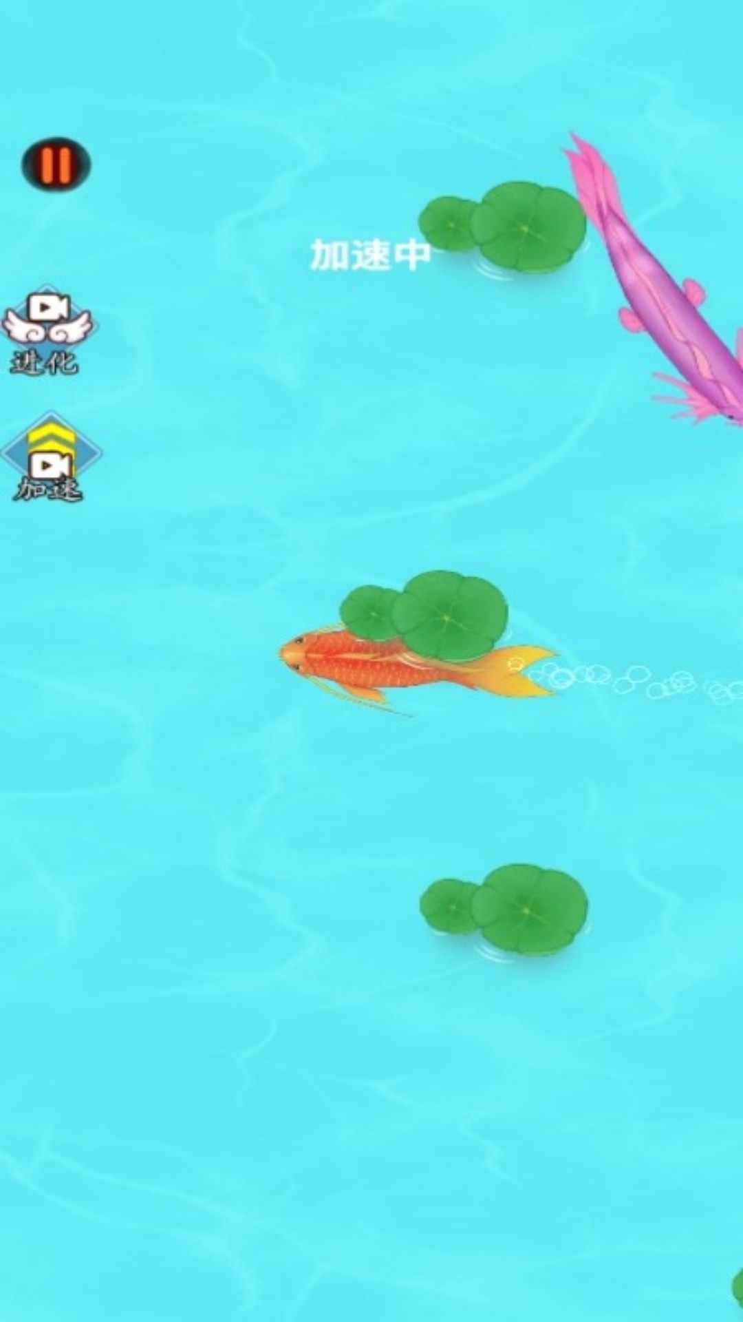 这才是神龙进化3