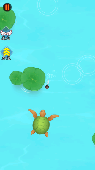 这才是神龙进化