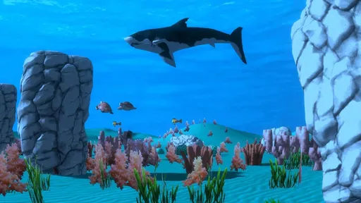 蒂莫哈的五个夜晚5岛屿2