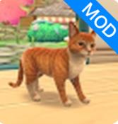 小爪子我的宠物旅程