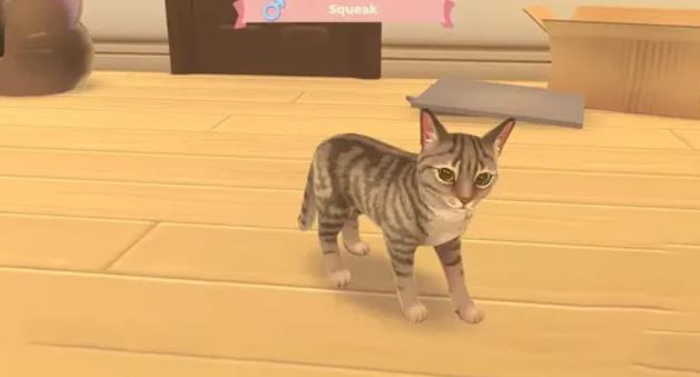 小爪子我的宠物旅程3