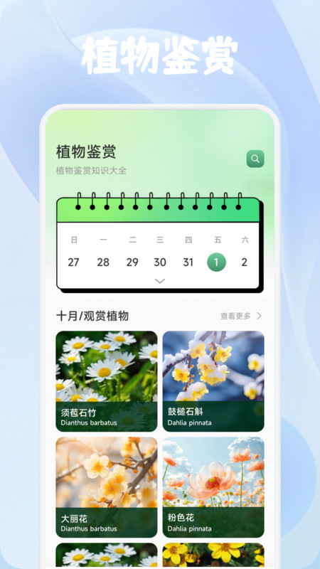 鑫合盛花1