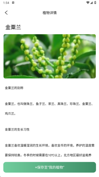鑫合盛花