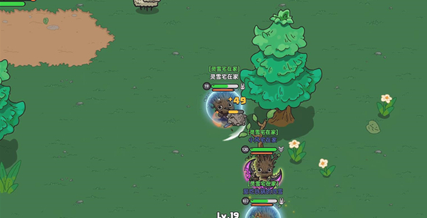 英勇之地暗影掠夺