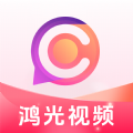鸿光视频