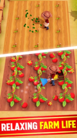 我的完美农场23