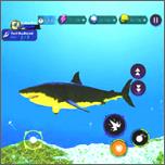 鲨鱼猎人模拟器