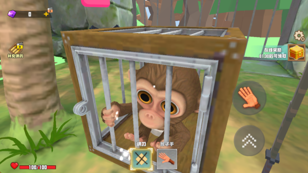 疯狂动物园建设