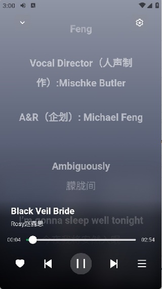 阿尔音乐播放器