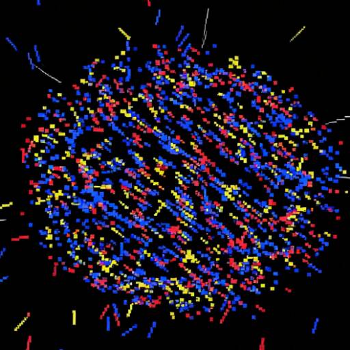 夜空绚烂烟花戏