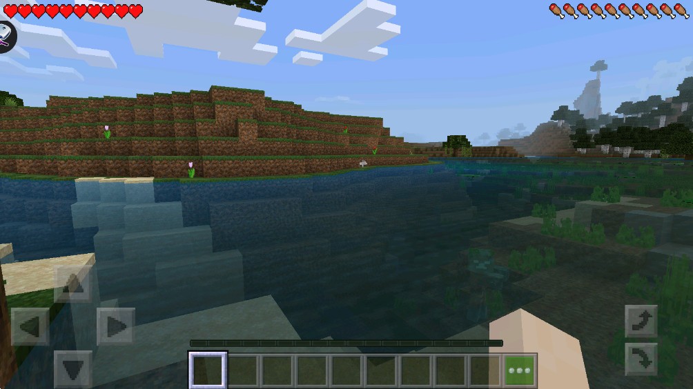 疯狂洛基方块建造家3