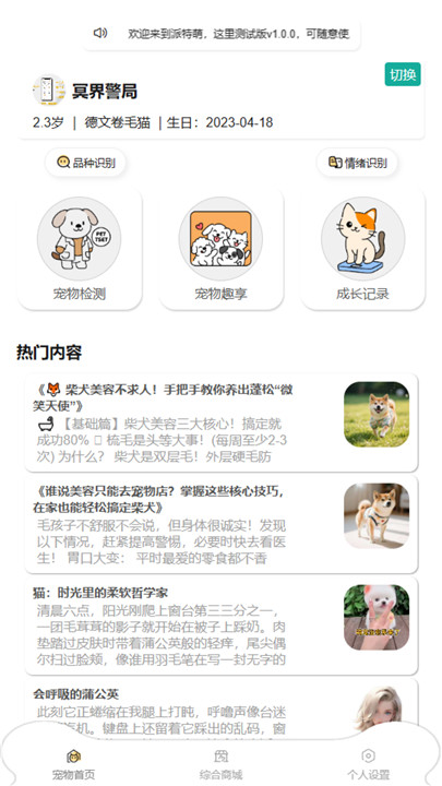 了不起的派特萌2