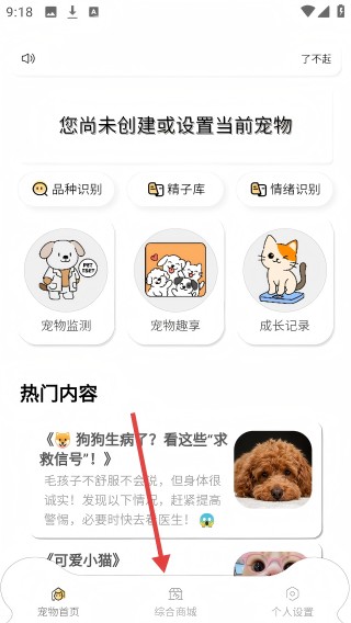 了不起的派特萌