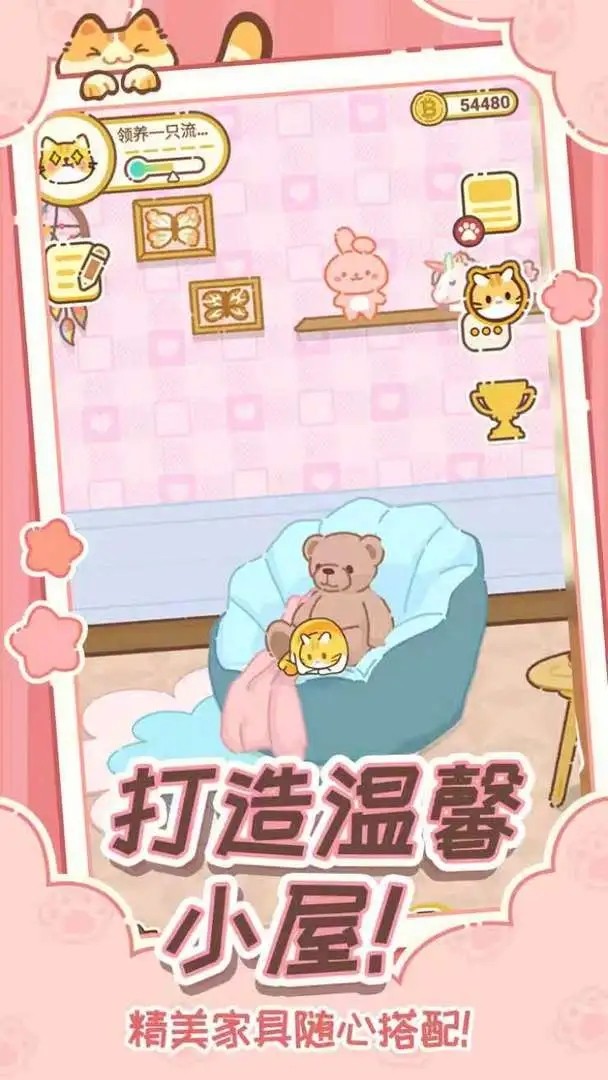 领养一只流浪猫2