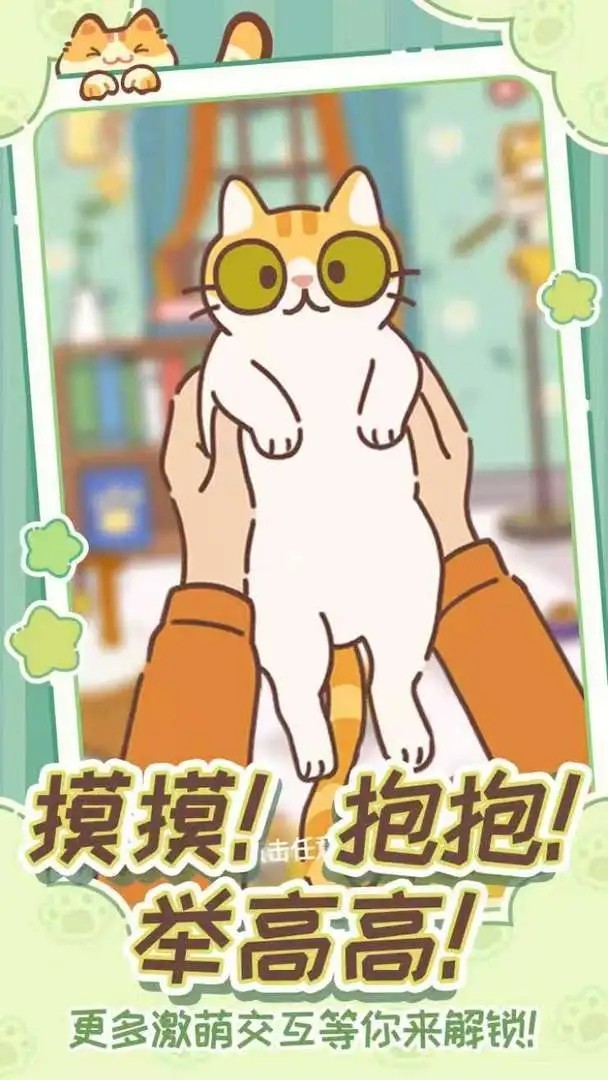 领养一只流浪猫3