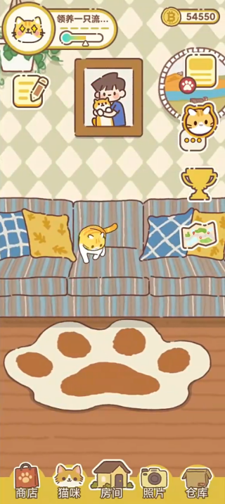 领养一只流浪猫