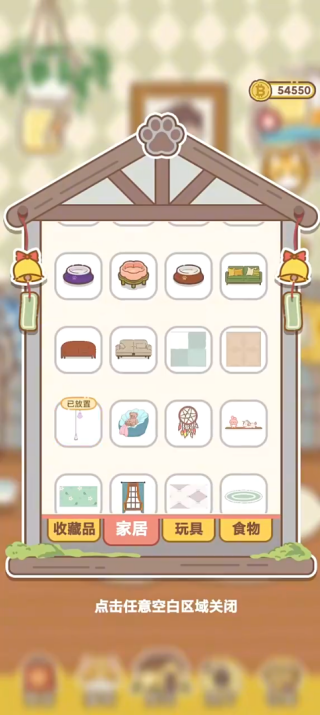 领养一只流浪猫