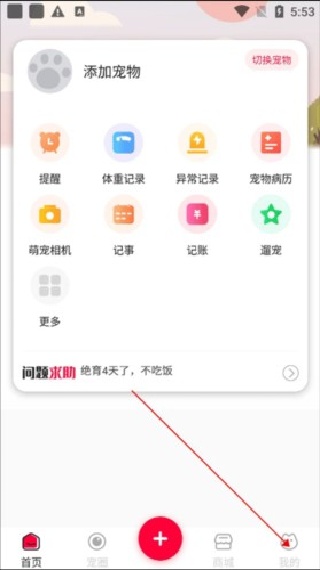 铲屎官的日常萌宠时刻