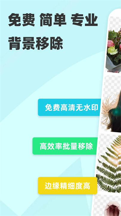 椰子背景移除工具1