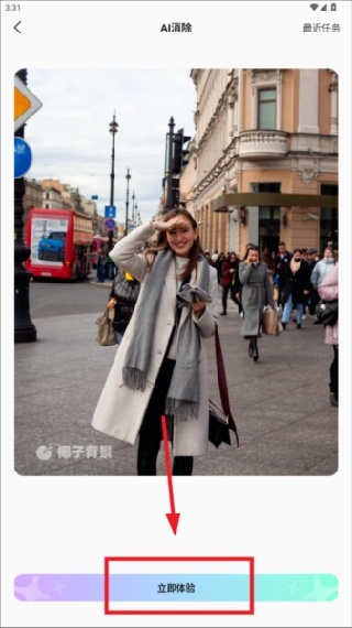 椰子背景移除工具