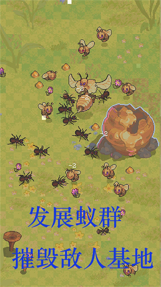 蚂蚁王国崛起蚂蚁