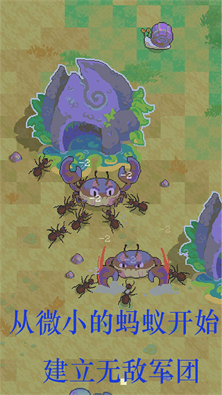 蚂蚁王国崛起蚂蚁