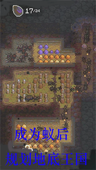 蚂蚁王国崛起蚂蚁