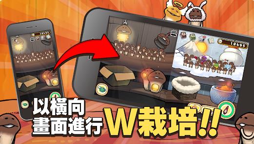 元祖菇菇栽培研究室4