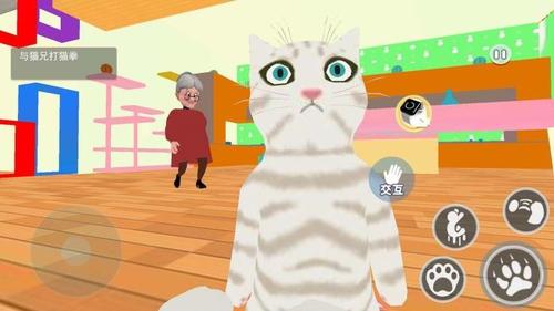 猫咪和奶奶2