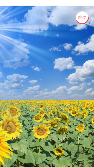 银建出行司机端3