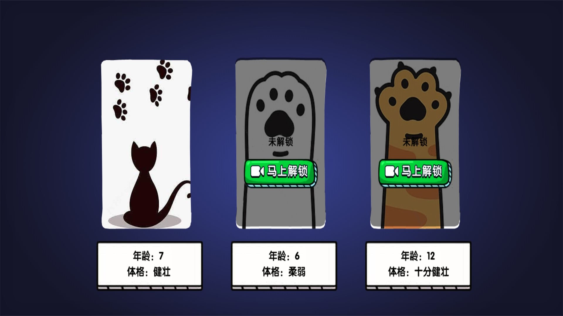 猫咪城市探索行3